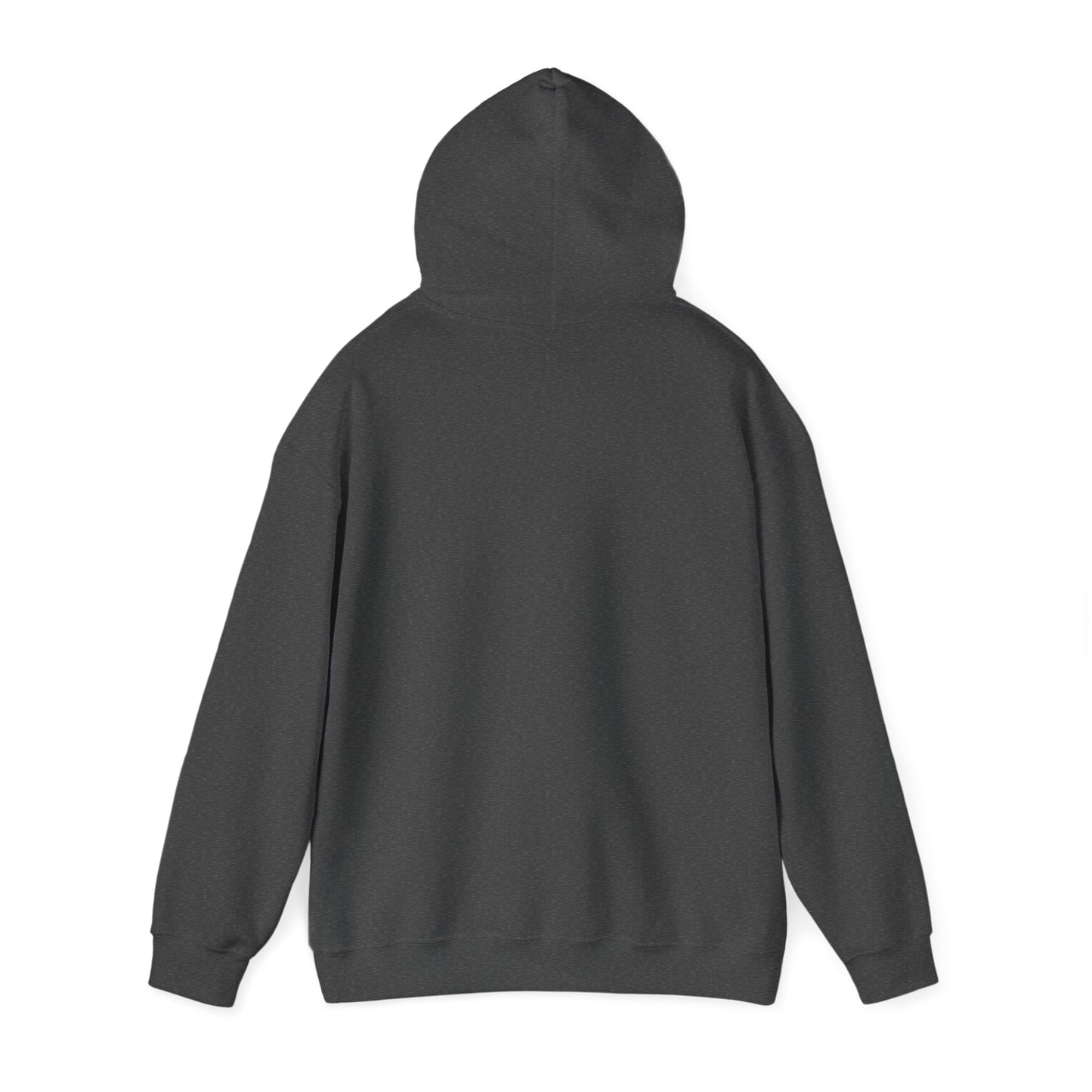 From Suffering to Glory - Unisex Hooded Sweatshirt