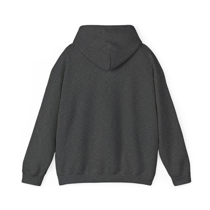 From Suffering to Glory - Unisex Hooded Sweatshirt