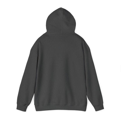 From Suffering to Glory - Unisex Hooded Sweatshirt