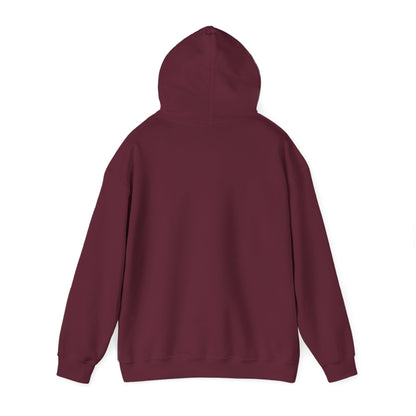 From Suffering to Glory - Unisex Hooded Sweatshirt