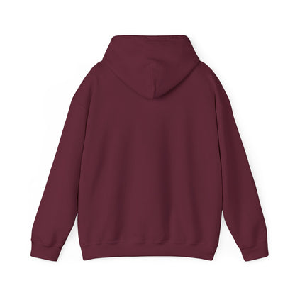From Suffering to Glory - Unisex Hooded Sweatshirt